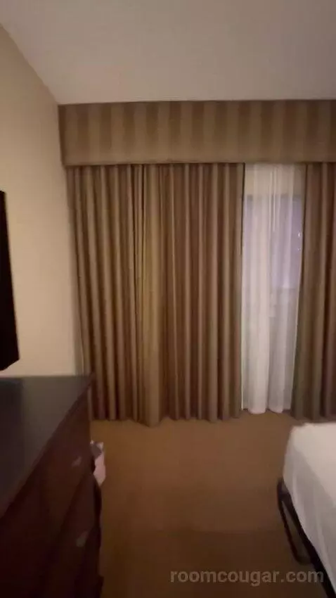 Studio 1 Queen Murphy Bed with Balcony bed picture #4