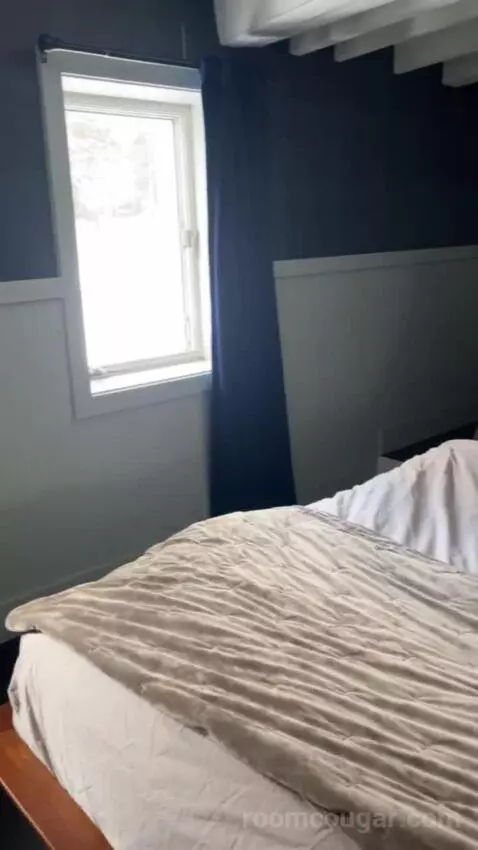 Guest Room, 1 King bed picture #1