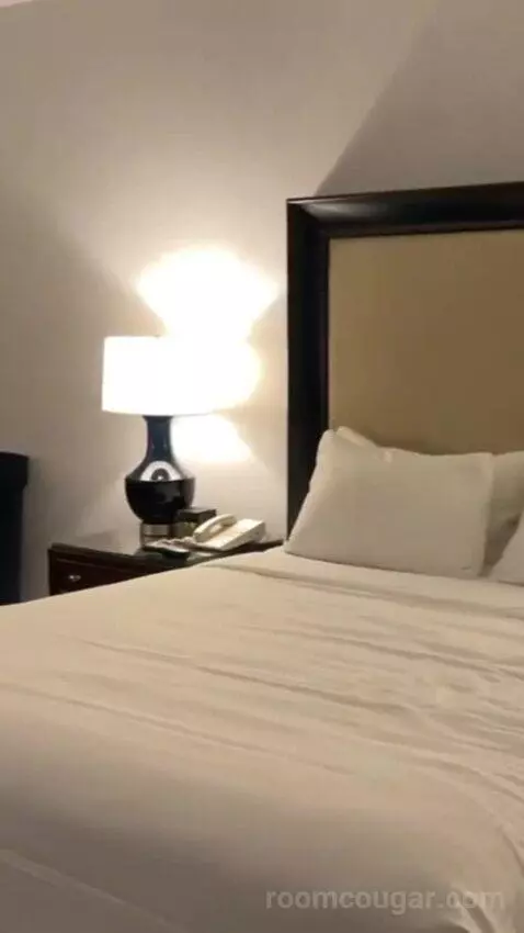 Palace Premium Room, 1 King Bed bed picture #2
