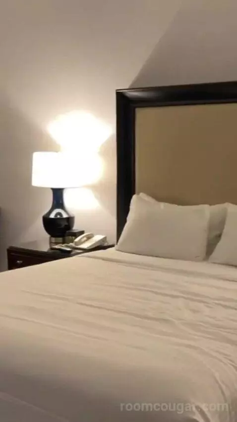 Palace Premium Room, 1 King Bed bed picture #3