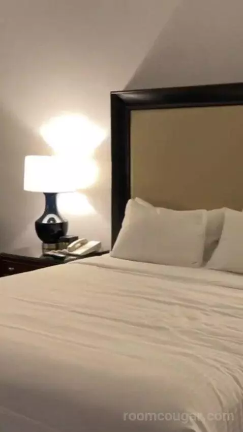 Palace Premium Room, 1 King Bed bed picture #4