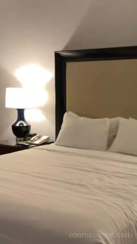 Palace Premium Room, 1 King Bed bed picture #5