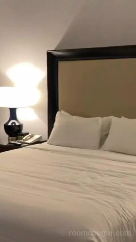 Palace Premium Room, 1 King Bed bed picture #6