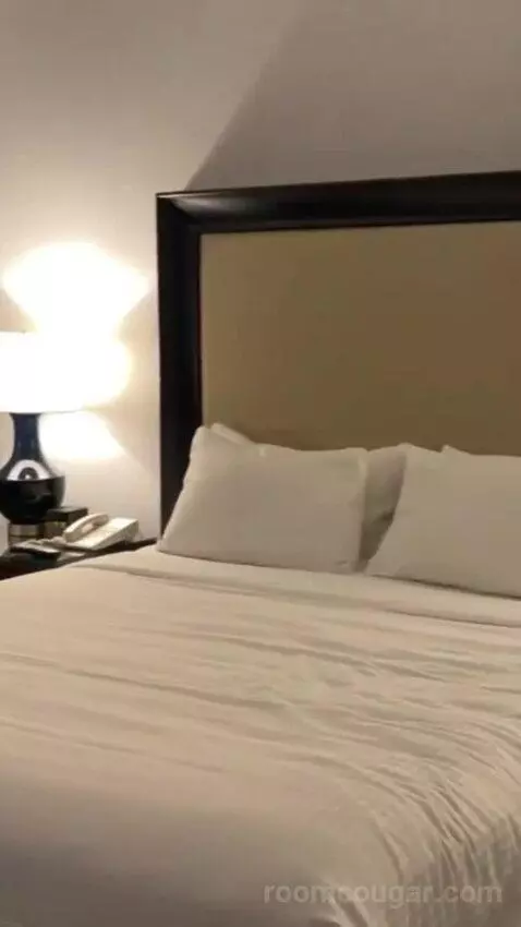 Palace Premium Room, 1 King Bed bed picture #7