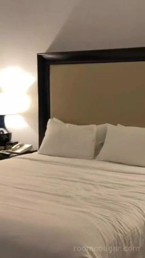 Palace Premium Room, 1 King Bed bed picture #8