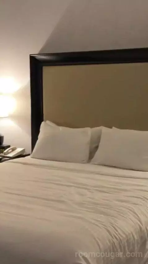 Palace Premium Room, 1 King Bed bed picture #9