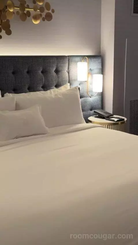 Gold King Strip Best View bed picture #1