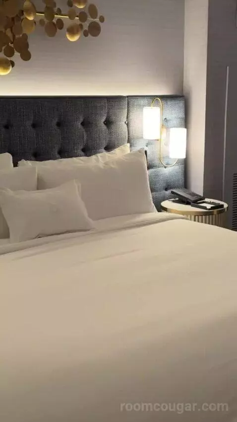 Gold King Strip Best View bed picture #2