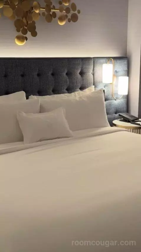 Gold King Strip Best View bed picture #5