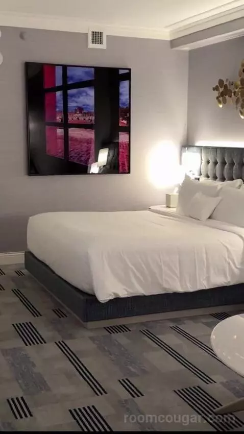 Gold King Strip Best View bed picture #7