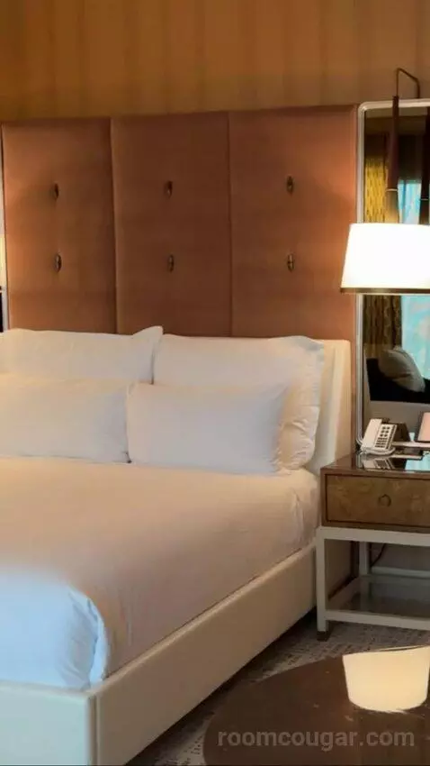 Wynn Resort King bed picture #9