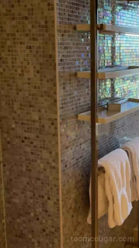 Terrace One Bedroom Suite Fountain View bathroom picture #7