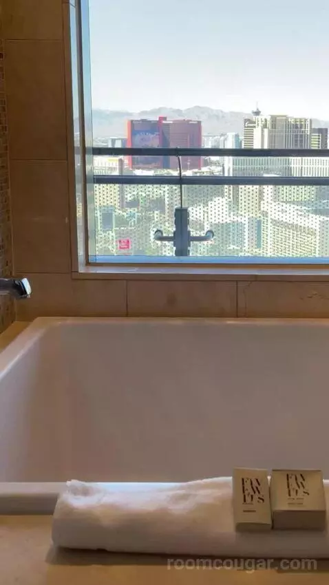 Terrace One Bedroom Suite Fountain View bathroom picture #10