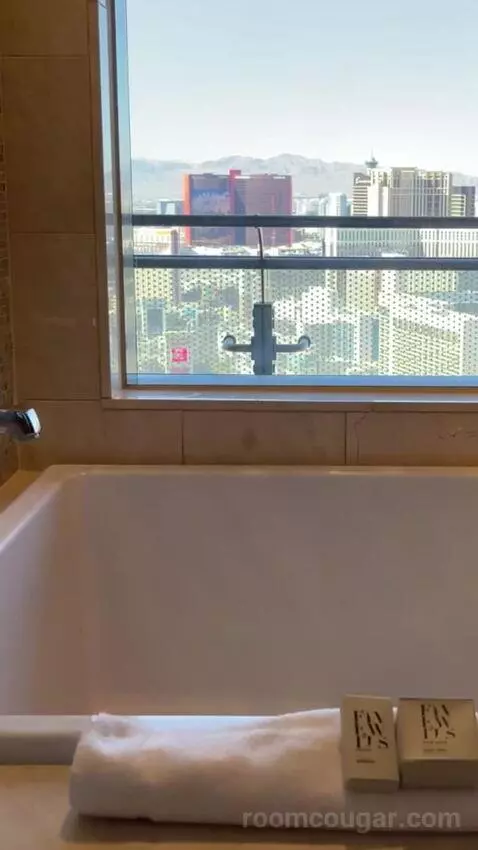 Terrace One Bedroom Suite Fountain View bathroom picture #11