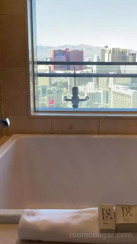 Terrace One Bedroom Suite Fountain View bathroom picture #12