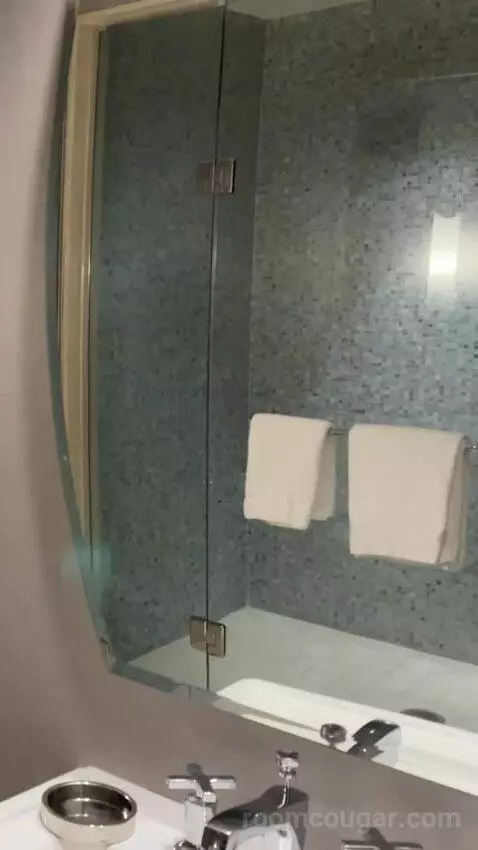 Terrace Suite Fountain View bathroom picture #2