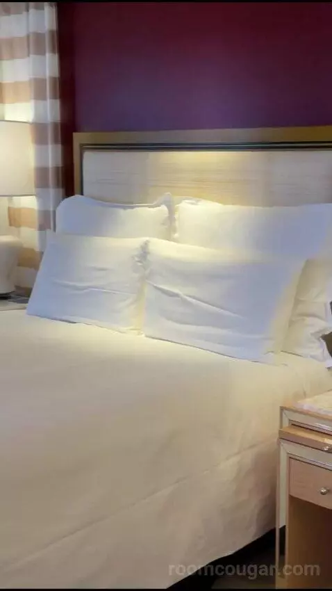 Encore Resort King bed picture #9