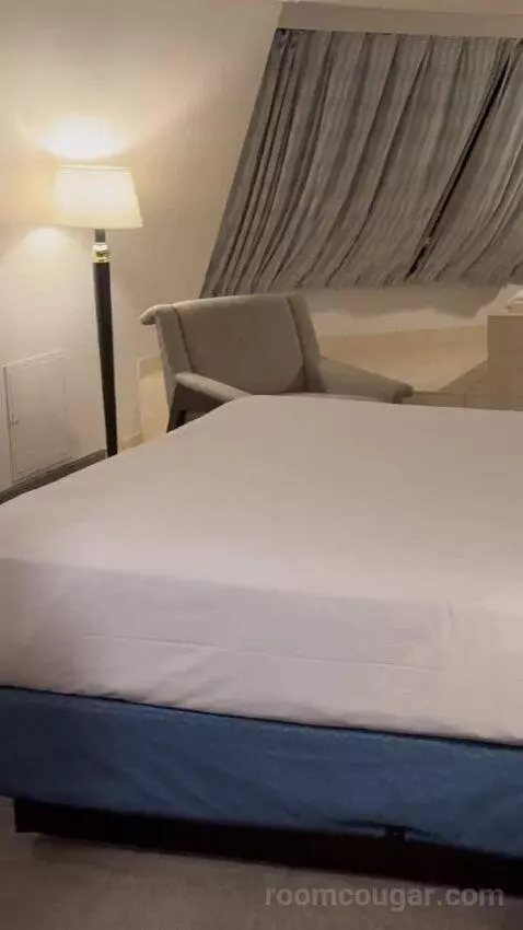 Pyramid King Corner Suite picture #2