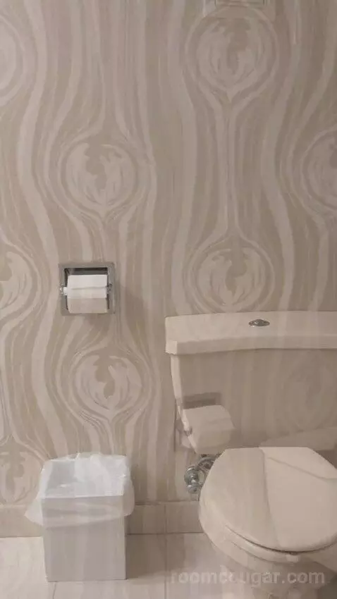 Pyramid King Corner Suite picture #17