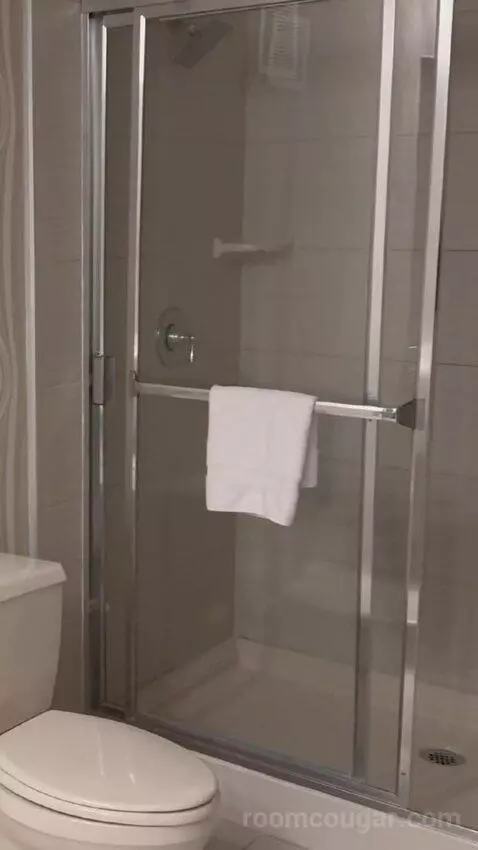 Pyramid King Corner Suite picture #18