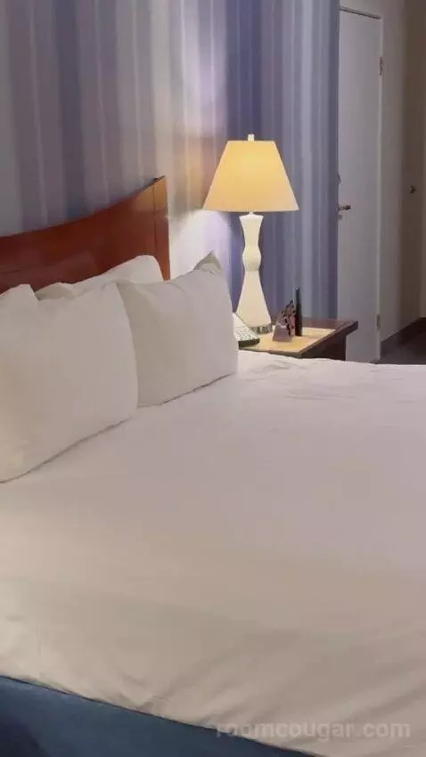 Pyramid King Corner Suite bed picture #7