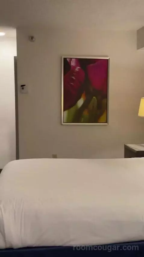 Pyramid Premier King bed picture #7