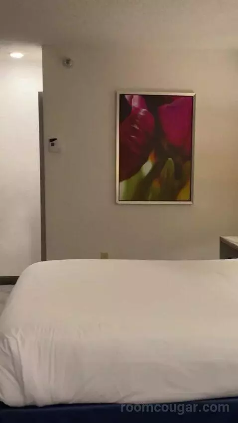 Pyramid Premier King bed picture #8