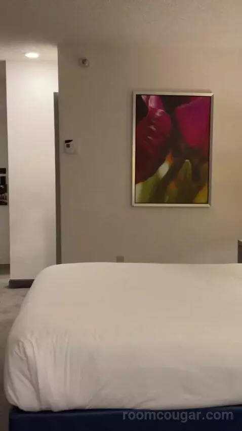 Pyramid Premier King bed picture #9