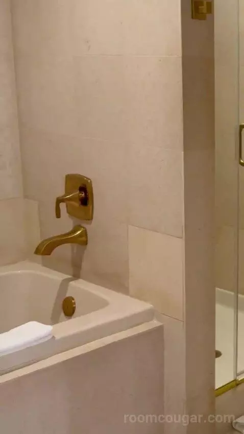 Tower One Bedroom Suite bathroom picture #9