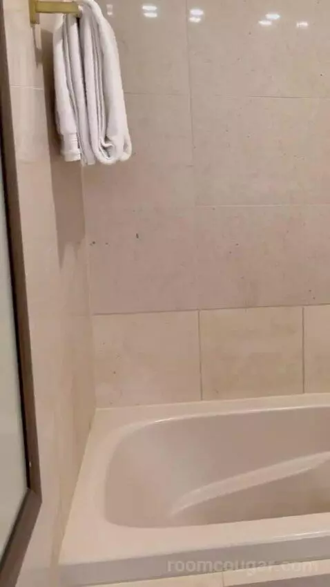 Tower One Bedroom Suite bathroom picture #12