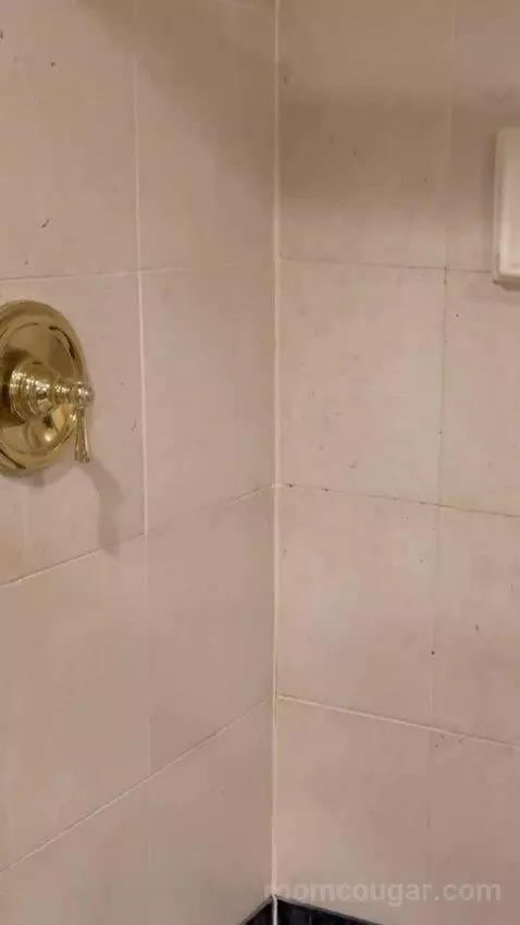 Tower Premier King bathroom picture #6