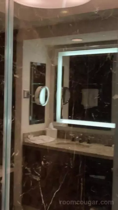 Delano Scenic Suite bathroom picture #2