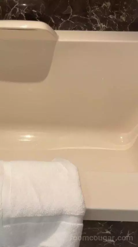 Delano Scenic Suite bathroom picture #4