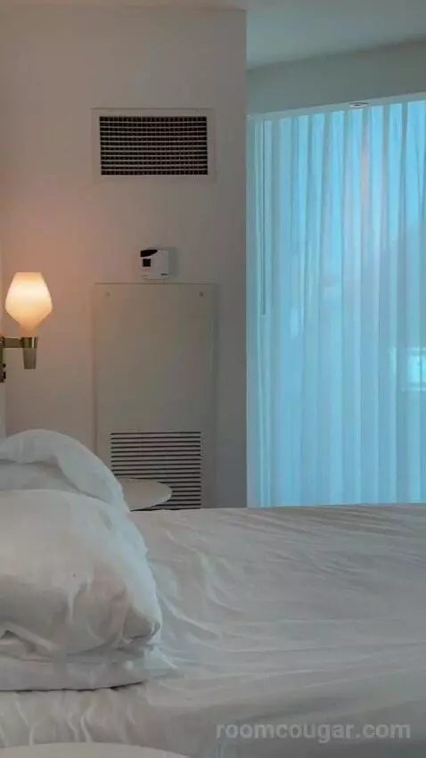 Delano Scenic Suite bed picture #2
