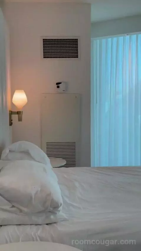 Delano Scenic Suite bed picture #3