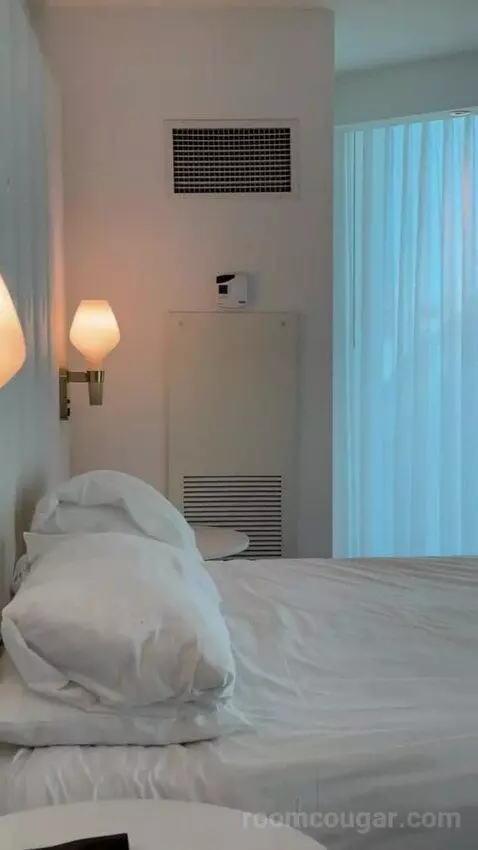 Delano Scenic Suite bed picture #4