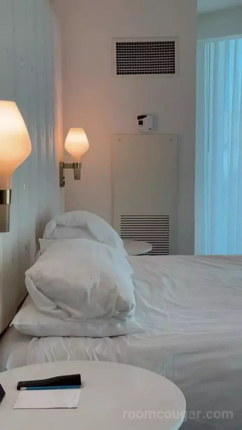 Delano Scenic Suite bed picture #8