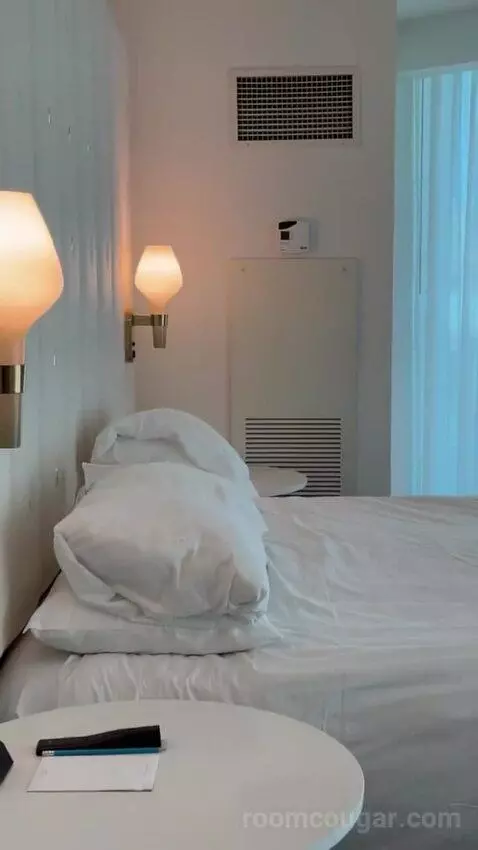 Delano Scenic Suite bed picture #9