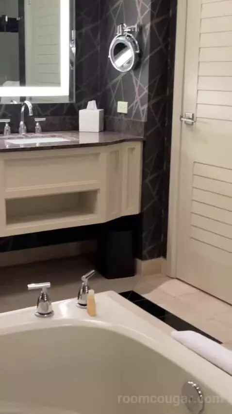 Elite King Suite bathroom picture #5