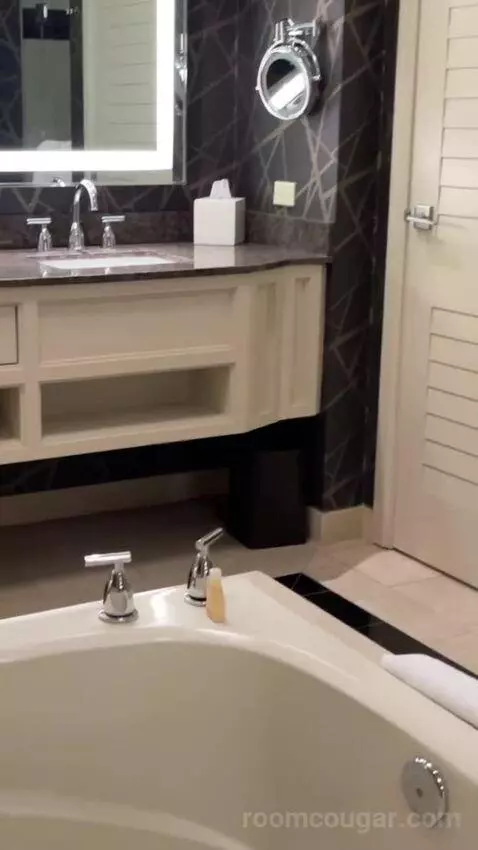 Elite King Suite bathroom picture #6
