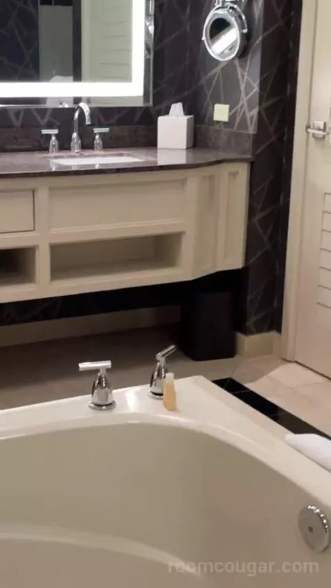 Elite King Suite bathroom picture #7