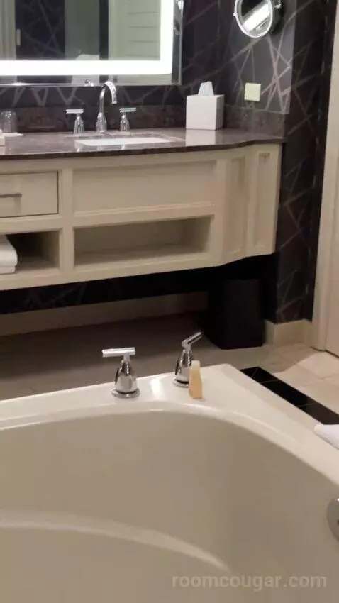 Elite King Suite bathroom picture #8