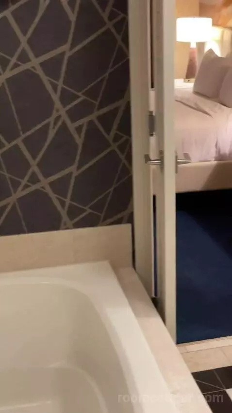 Elite King Suite bed picture #9