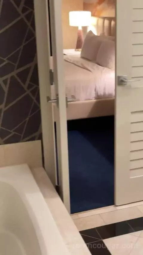 Elite King Suite bed picture #11