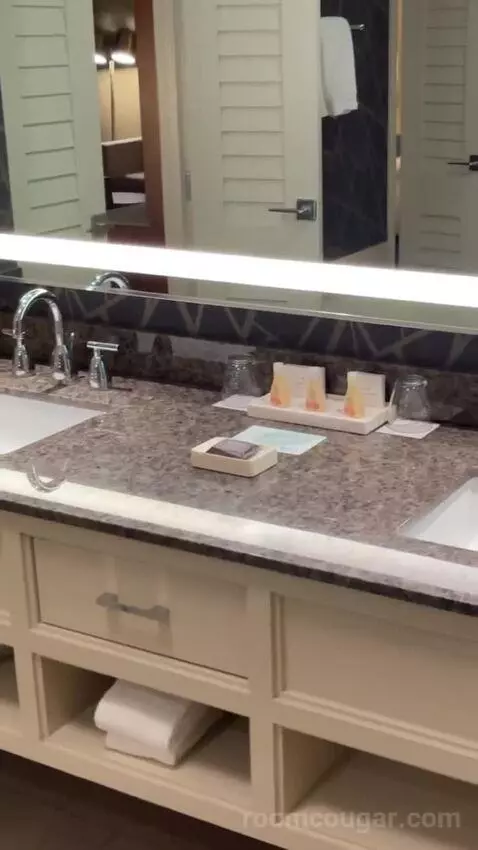 Elite King Suite bathroom picture #9