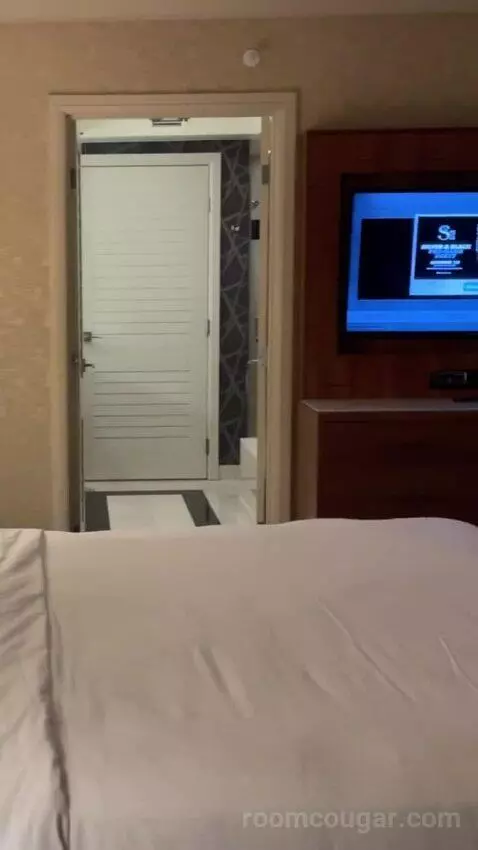 Elite King Suite bed picture #7