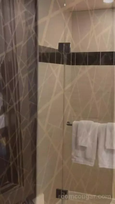 Resort King Room bathroom picture #12