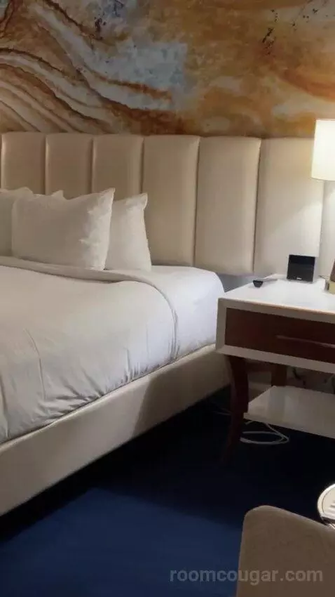 Resort King Room bed picture #6