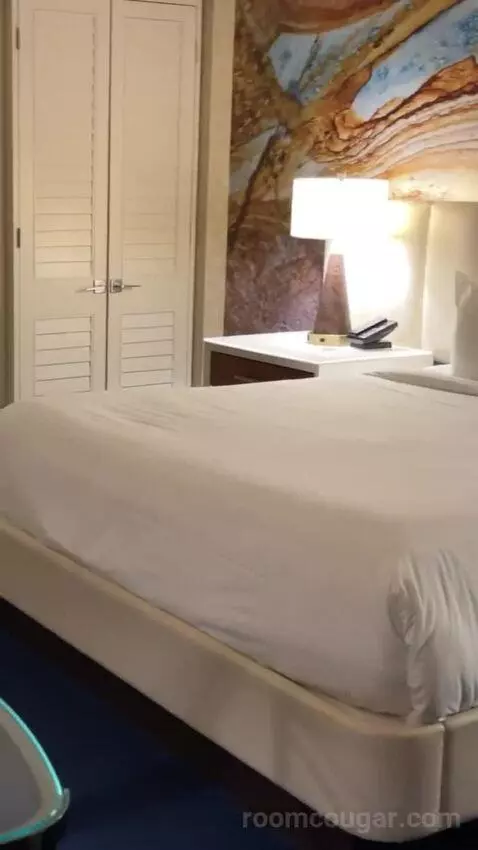 Resort King Room bed picture #10