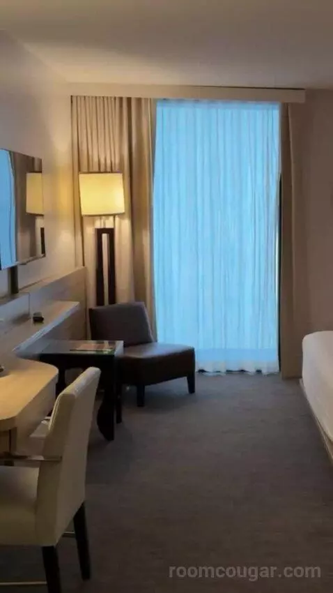District 3, Deluxe Room, 1 King bed picture #2